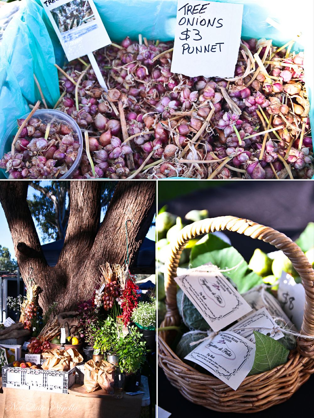 Mildura food, Stefano de Pieri Not Quite Nigella