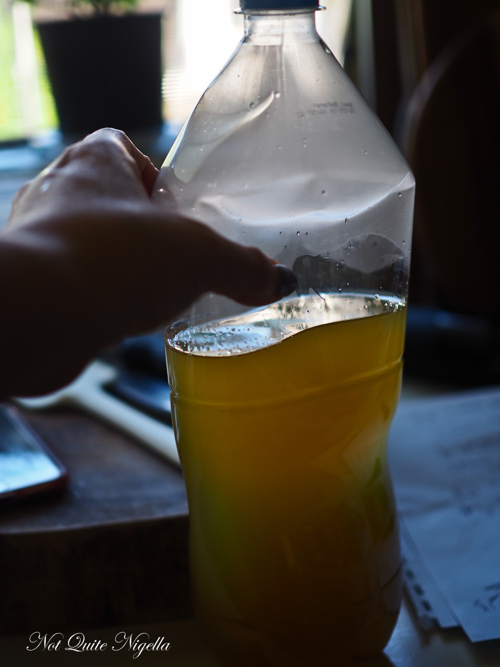 Ginger Chilli Beer Home Brewed Fermented Not Quite Nigella