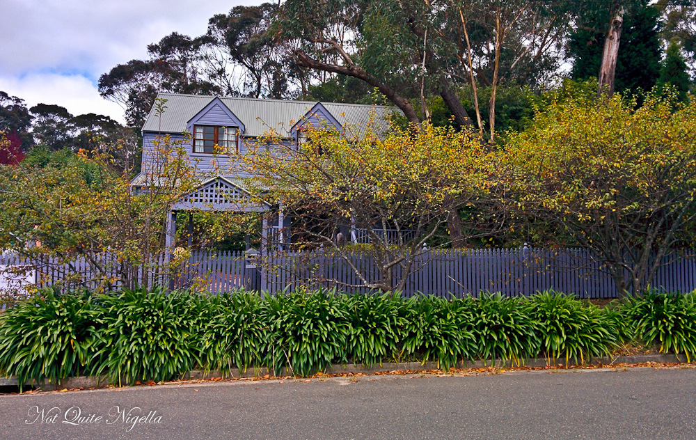 Lavender Manor, Blackheath, Blue Mountains Not Quite Nigella