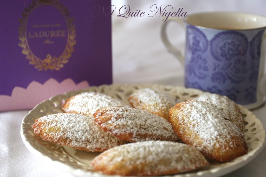 Pistachio and Rose Madeleines Not Quite Nigella