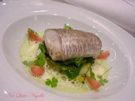 Becasse Sydney- Fish