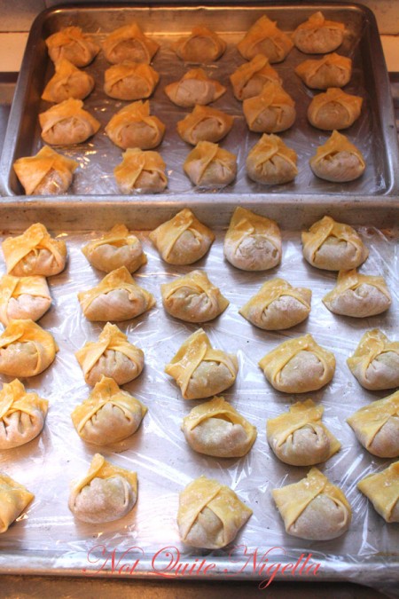 Home made won ton dumplings