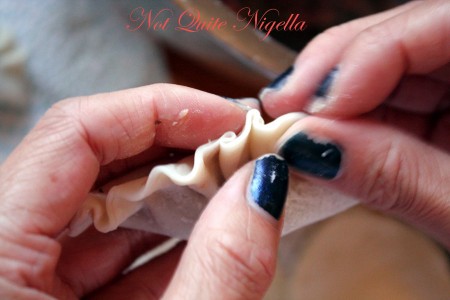 Home made won ton dumplings