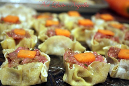 Home made won ton dumplings