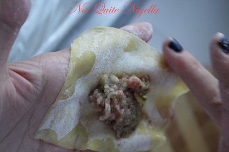 Home made won ton dumplings