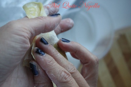 Home made wonton dumplings 