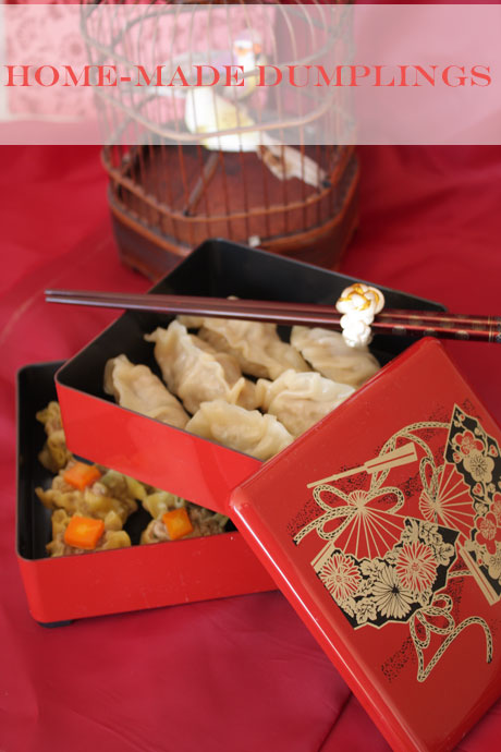 main-dumplings-final Home made dumplings