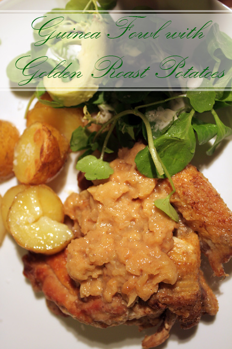 main-guinea_fowl_plated Normandy Guinea Fowl with perfect roast potatoes