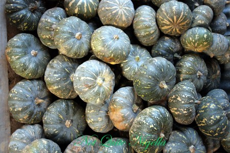 a-pumpkins_galore