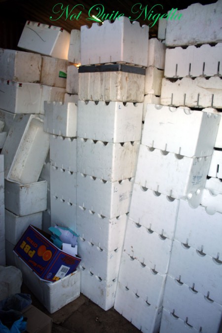 a-styrofoam