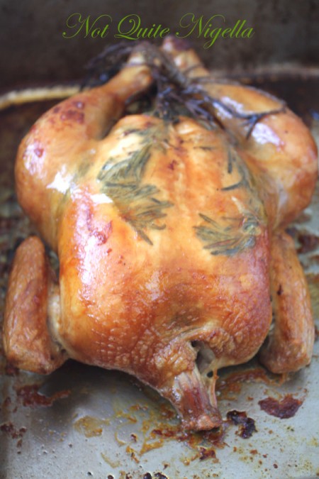 a-zuni_chicken_1