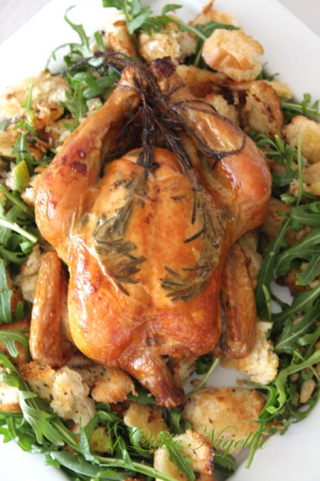 a-zuni_chicken_3