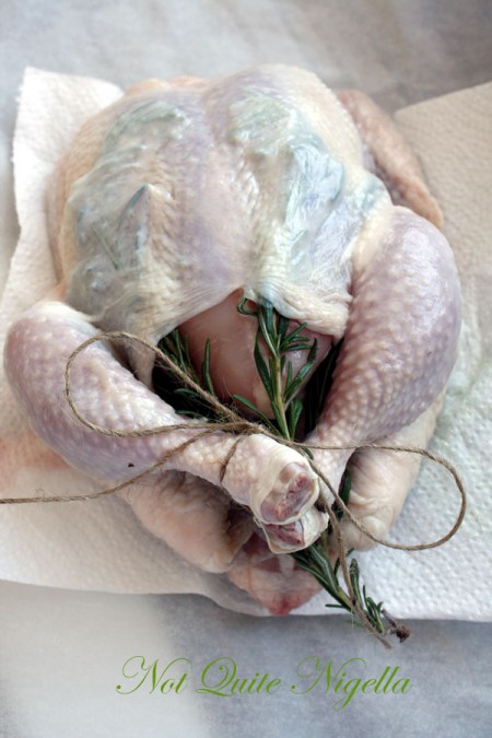 a-zuni_chicken_seasoned