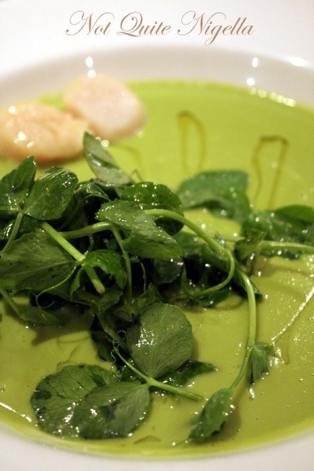 a-the_burlington_veloute