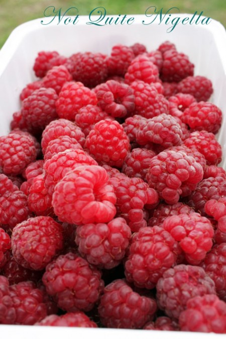a-pyo_berries_6