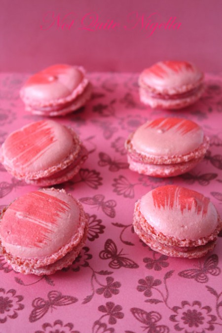 a-paintbrush_macaronside1