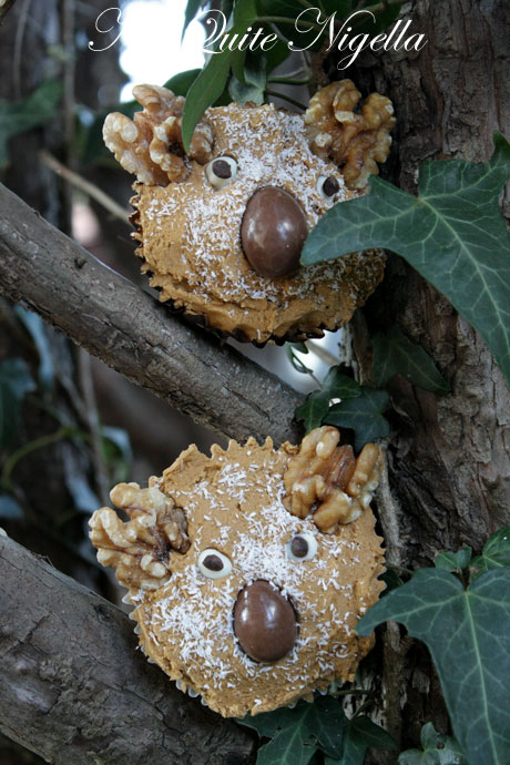 koala cupcakes 2