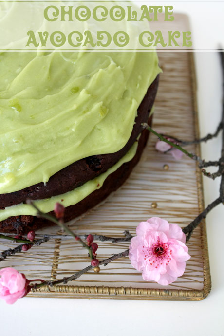 chocolate avocado cake 2