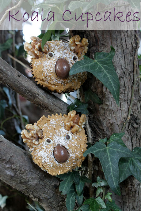 main- koala cupcakes 1
