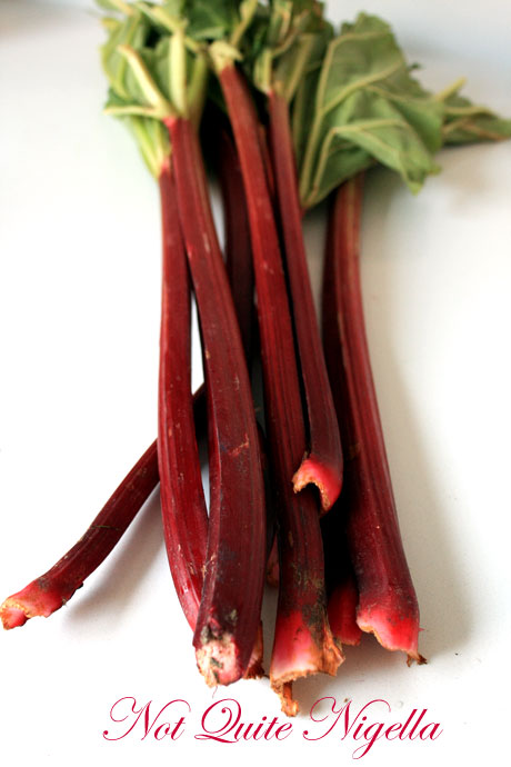 rhubarb rhubarb