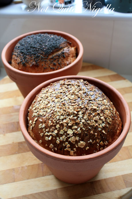 baked breads 1 baked breads 1