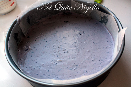 blueberry layer blueberry layer