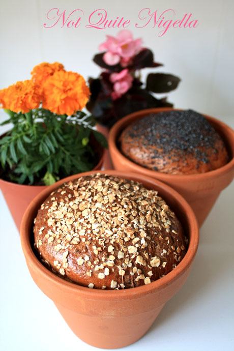 flowerpot bread 2 flowerpot bread 2