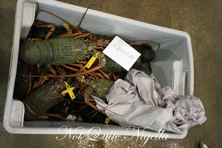 sydney fish market tour 10