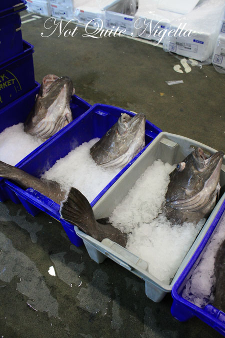 sydney fish market tour 13
