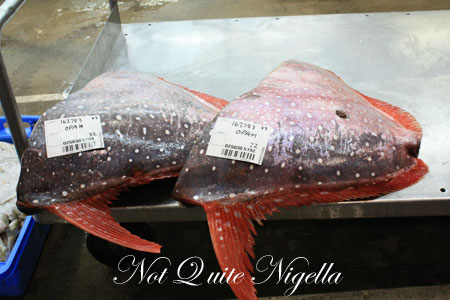 sydney fish market tour 15