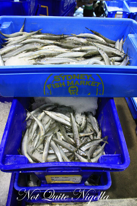 sydney fish market tour 19