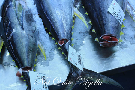 sydney fish markets 28