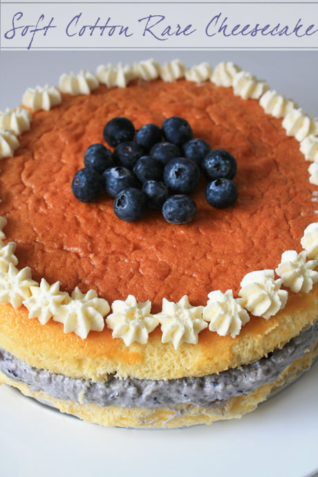 japanese soft rare cheesecake japanese soft rare cheesecake