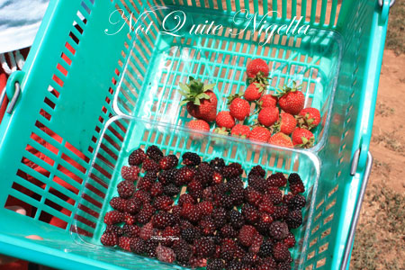 huntley berry berry haul huntley berry berry haul