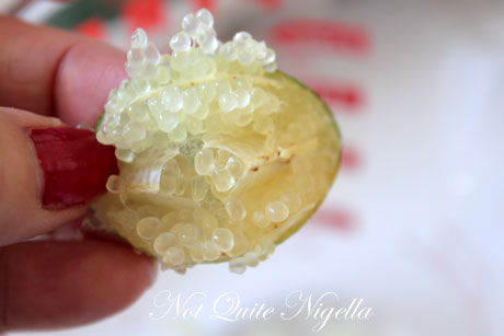 finger lime curd recipe