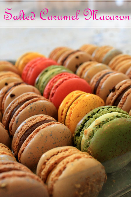 m-baroque_macaron_1