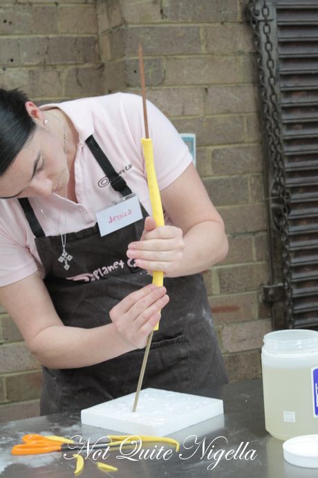planet cake, complex handbag class