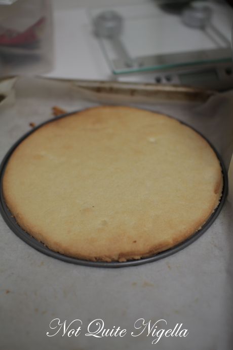 italian ricotta cheesecake recipe, pasticceria papa ricotta cheesecake