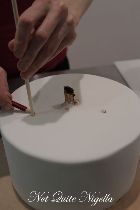faye cahill cake class