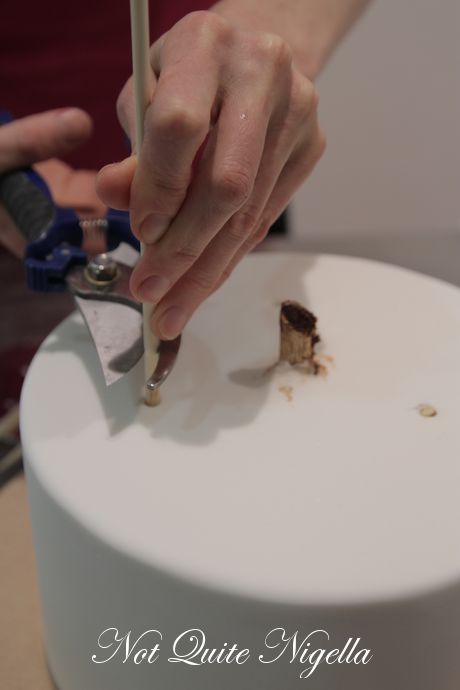 faye cahill cake class