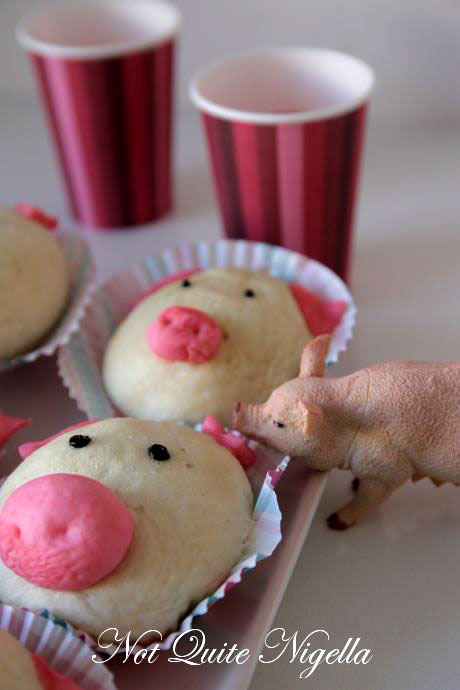 piggy-buns