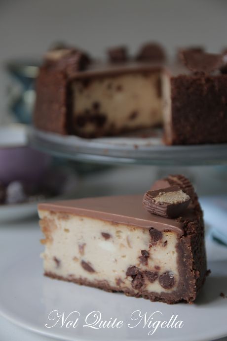peanut butter cup cheesecake