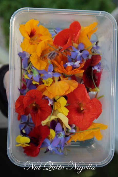 paddock to plate, essential ingredient