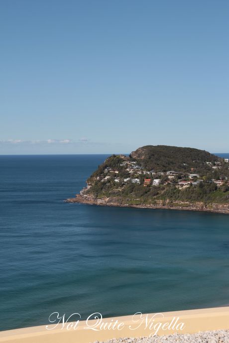 jonahs whale beach