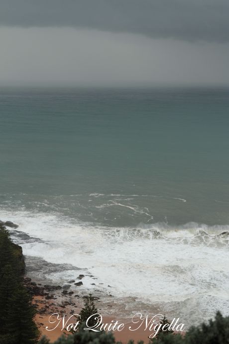 jonahs whale beach