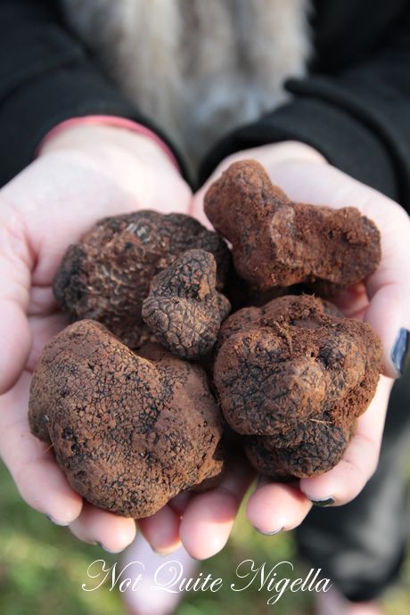 truffle hunt chateau yering