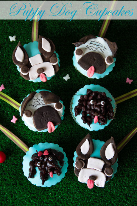 puppy dog pug french bulldog poodle cupcakes