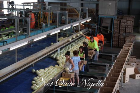 food bank charity