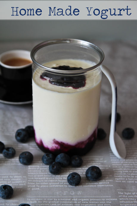 home made yogurt