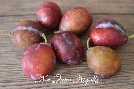 sugar plum tarts
